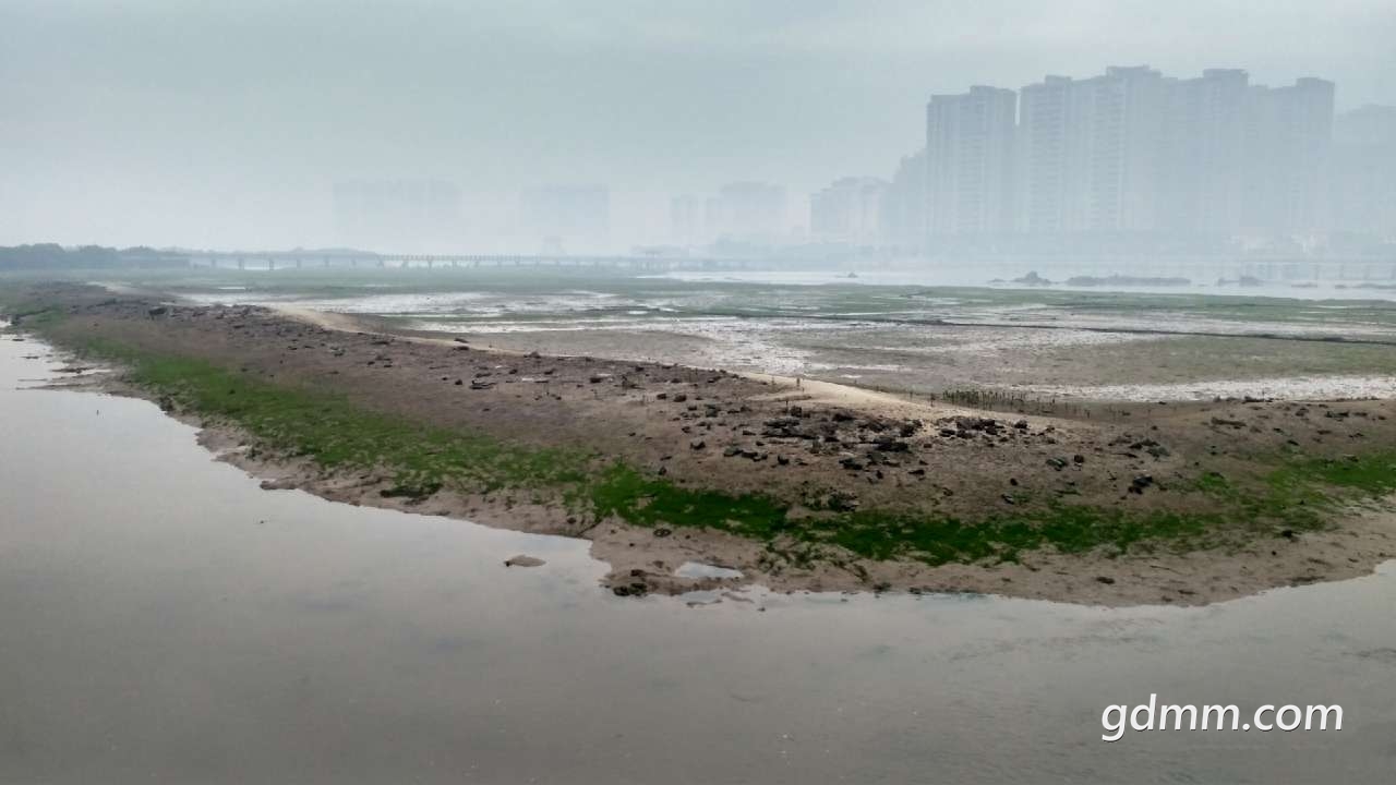 20190928_3247700_1569629329950.jpg