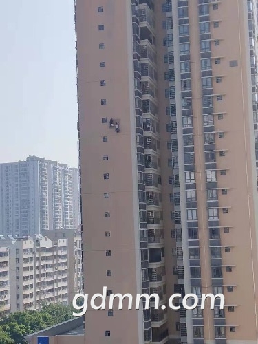 688D2845-6093-4661-9252-909BFEFA44C7.jpeg