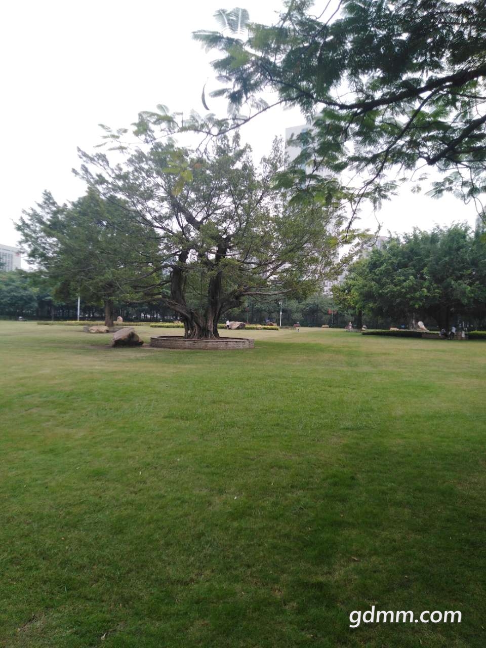 20191002_3273555_1569987500907.jpg