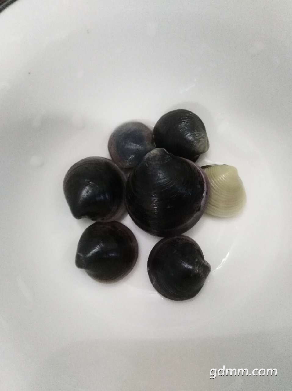 20191002_133550_1570017904582.jpg