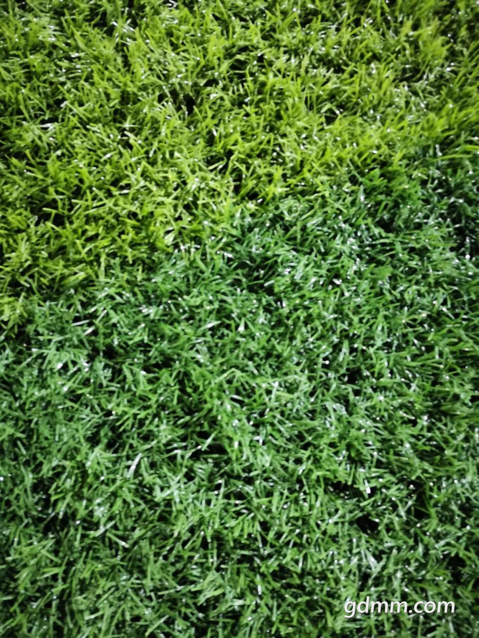 20191003_3261617_1570078212956.jpg