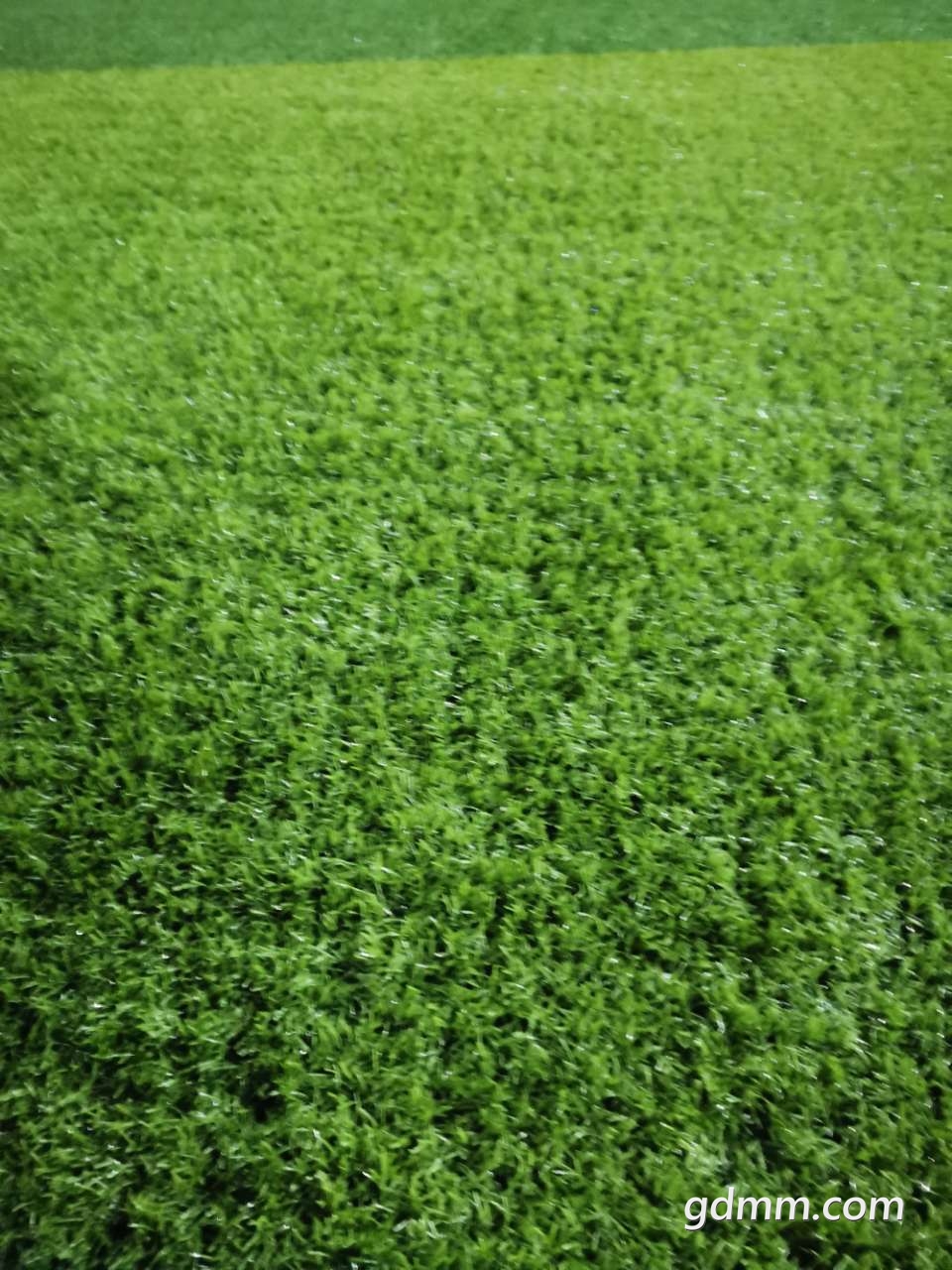 20191003_3261617_1570078212750.jpg