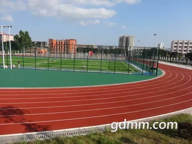 6401.jpg