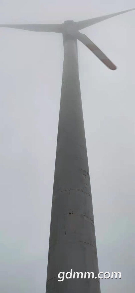 07221354.jpg