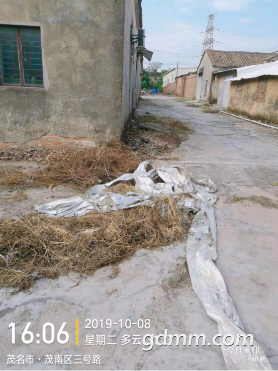 ¶ֵɿı19101019.png