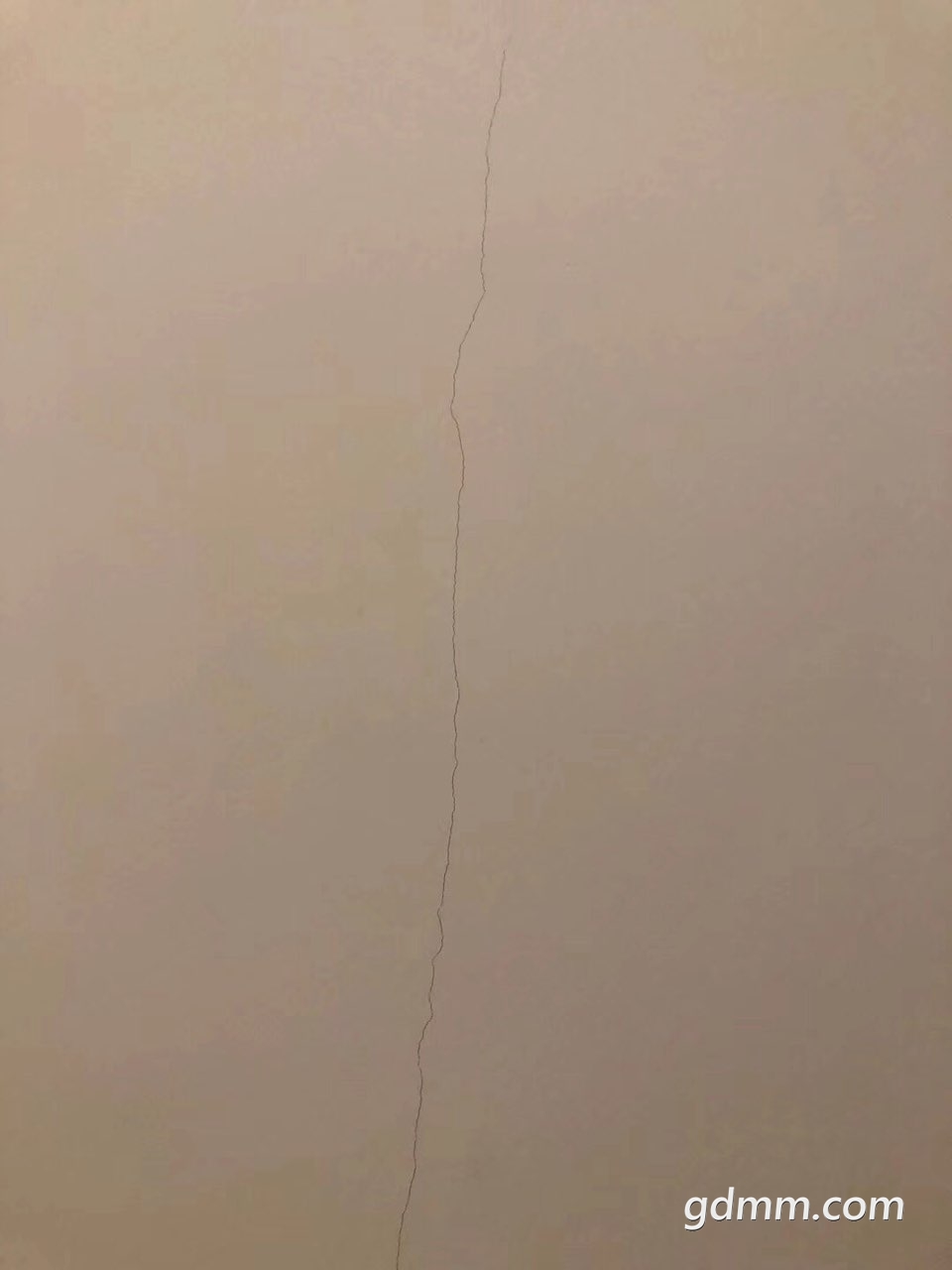 2019101232517351570893353137927.jpg