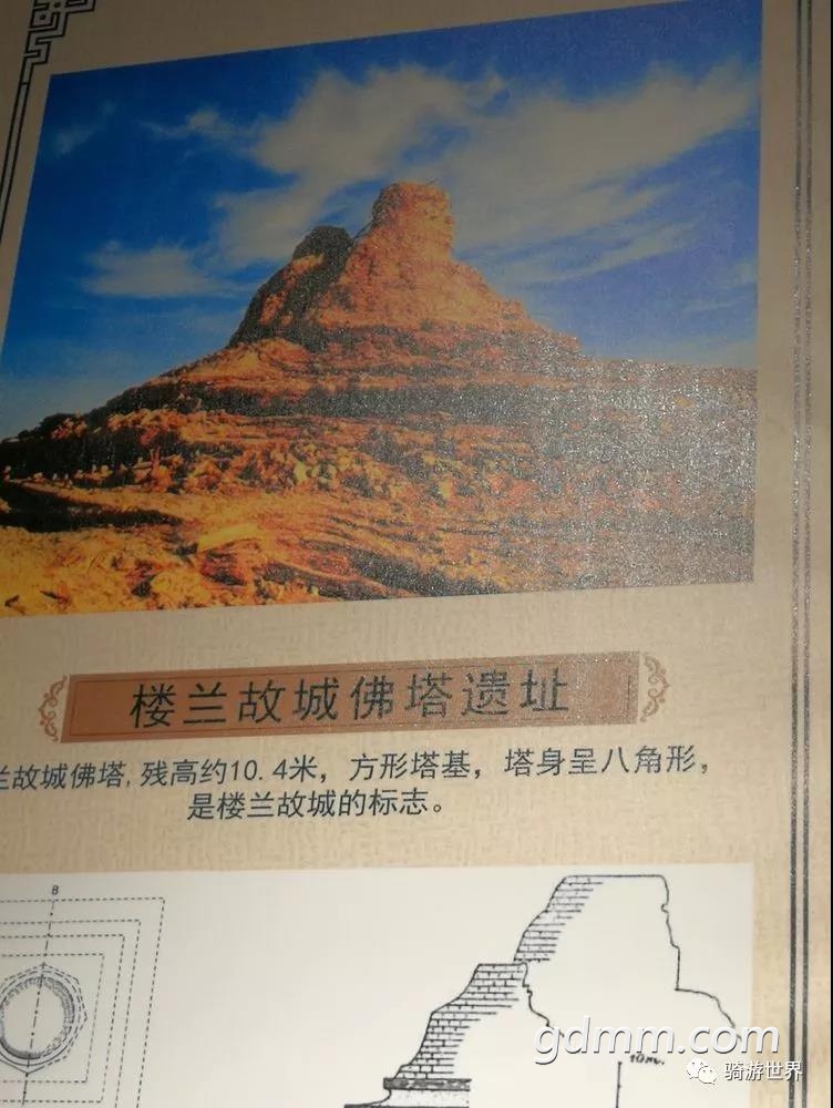 31.jpg