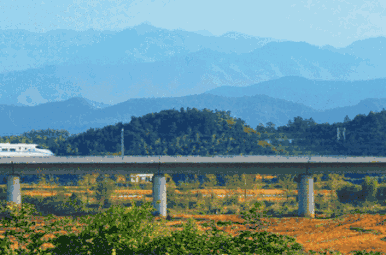cd3d8a184704eab891ce3c2cae89d5cd_640_wx_fmt=gif&amp;tp=webp&amp;wxfrom=5&amp;wx_lazy=1.gif