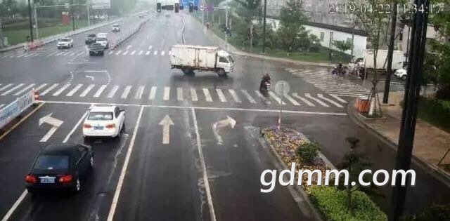 201910203279318157154019515193.jpg