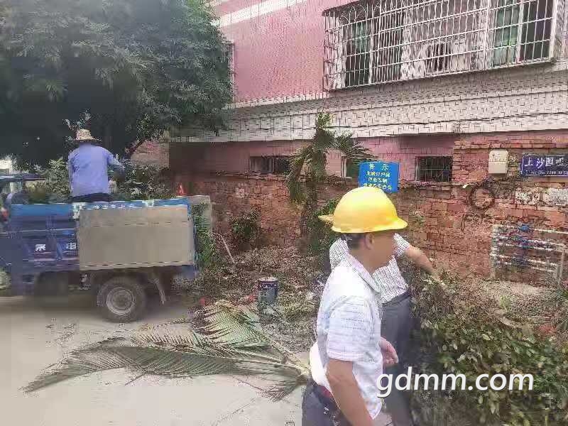 201910213376621571645165285622.jpg