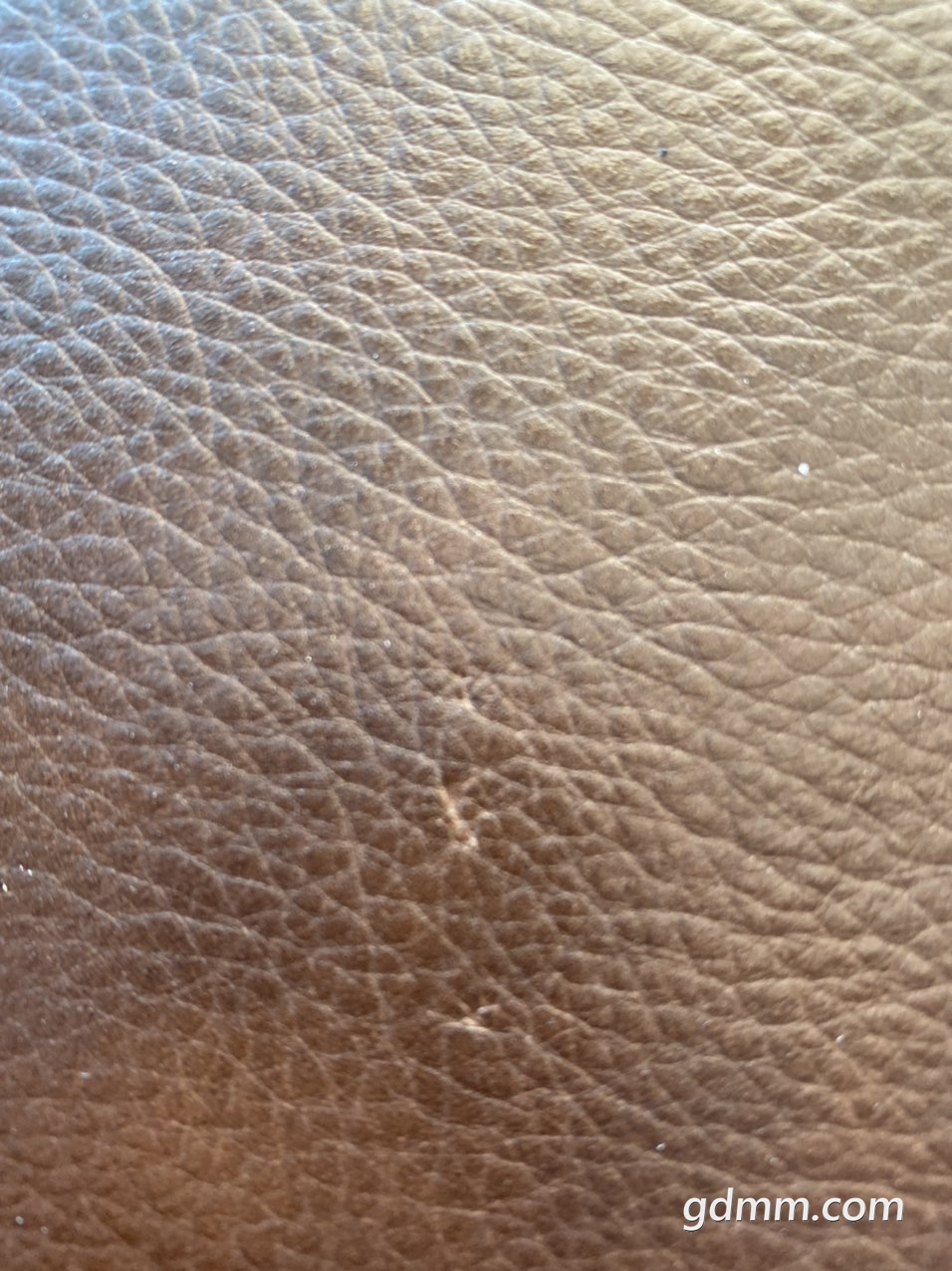 2019102332755241571807835715175.jpg