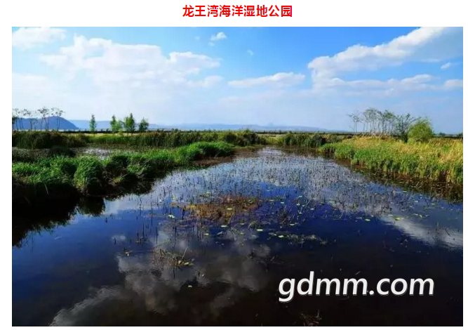QQͼ20191028160548.png