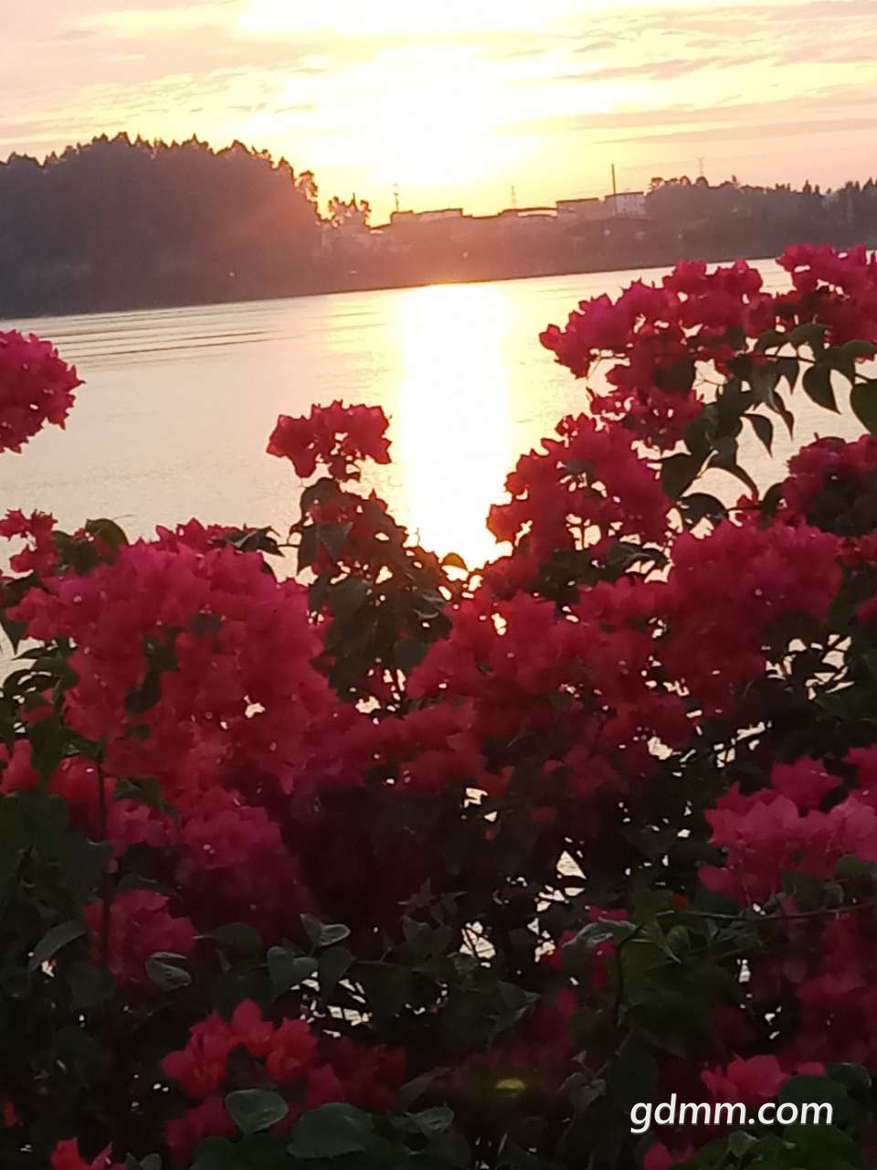 20191030_3256595_1572390769463.jpg