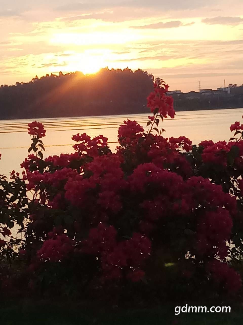 20191030_3256595_1572390771181.jpg