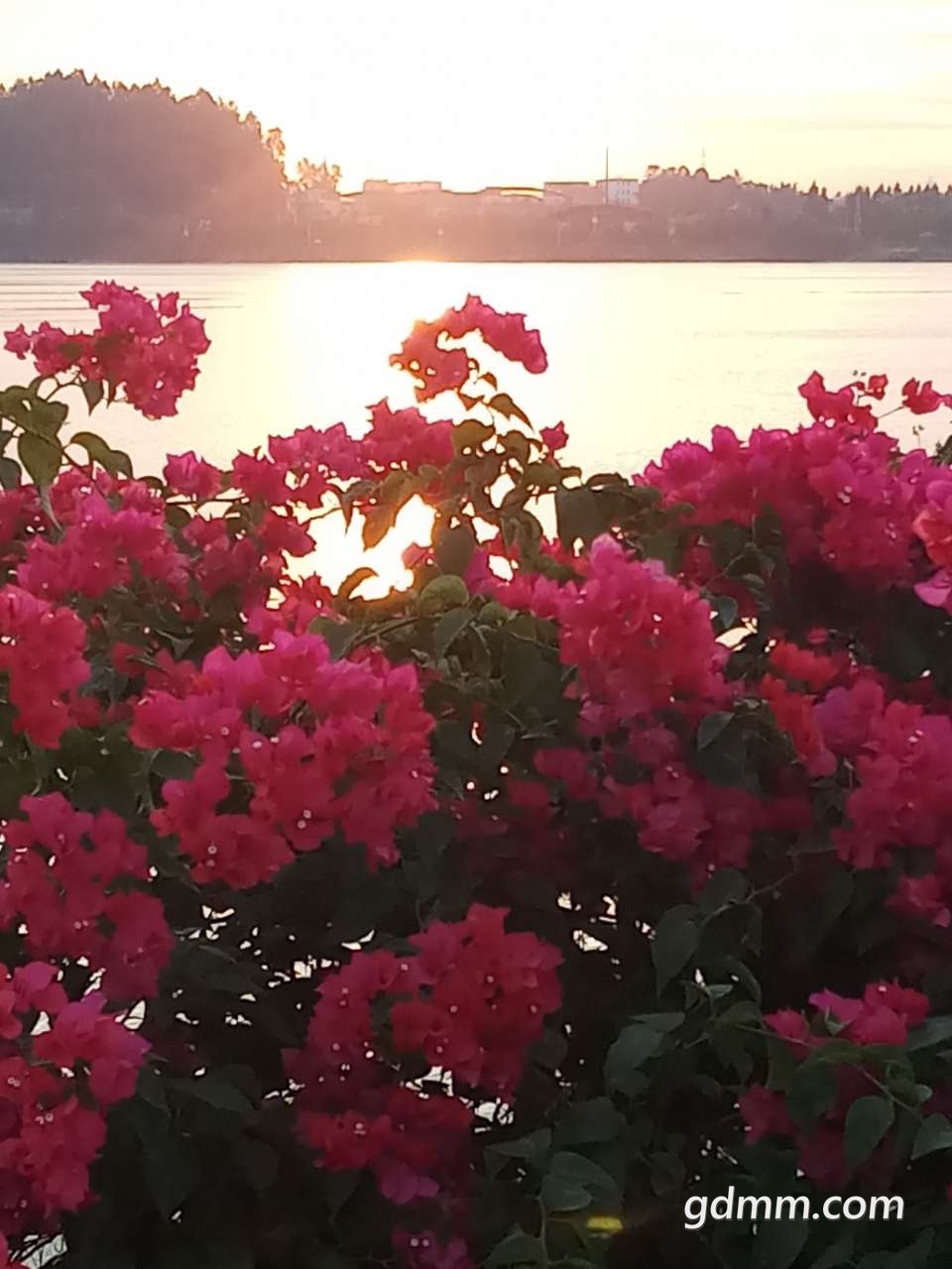 20191030_3256595_1572390770358.jpg
