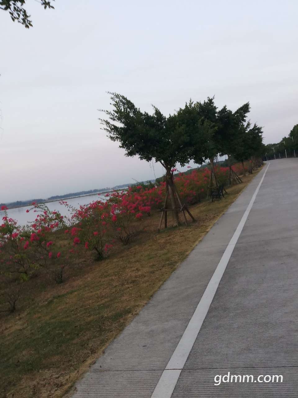 20191030_3256595_1572391308201.jpg