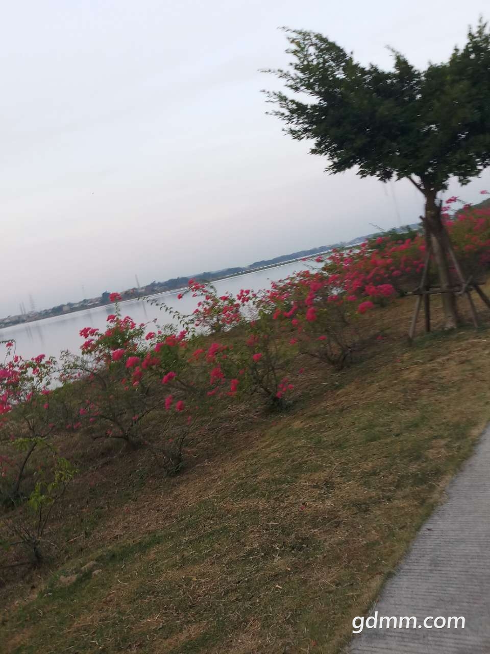 20191030_3256595_1572391308923.jpg