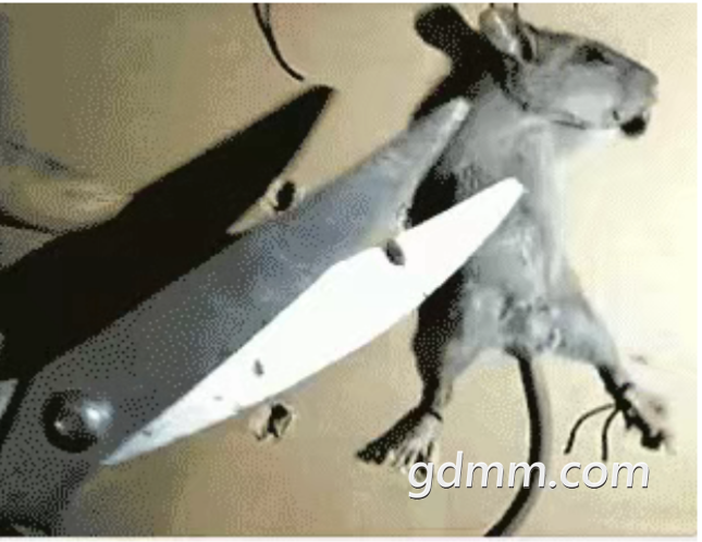 20191031_3274461_1572506745235.png