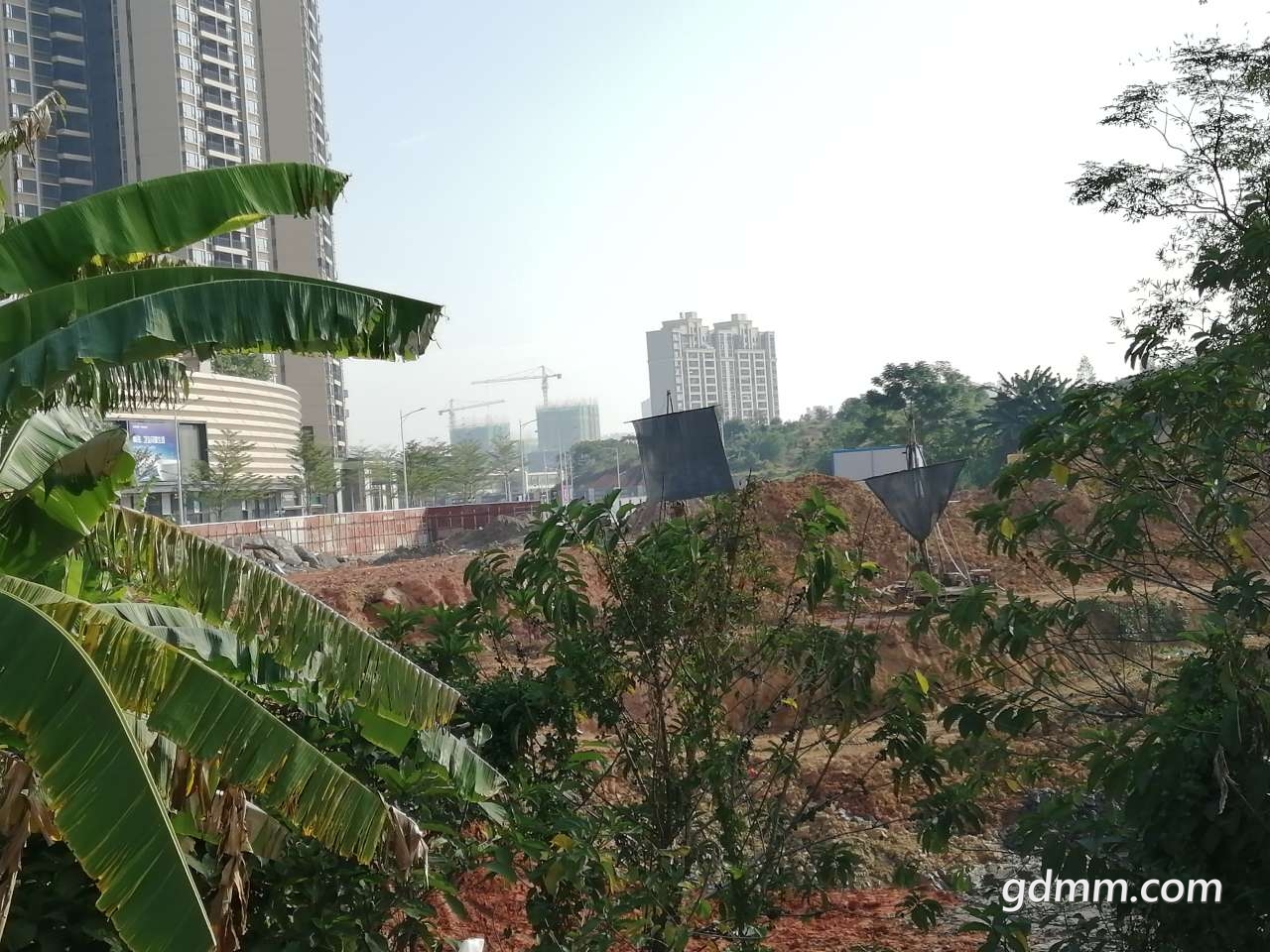 20191103_1590349_1572752416366.jpg