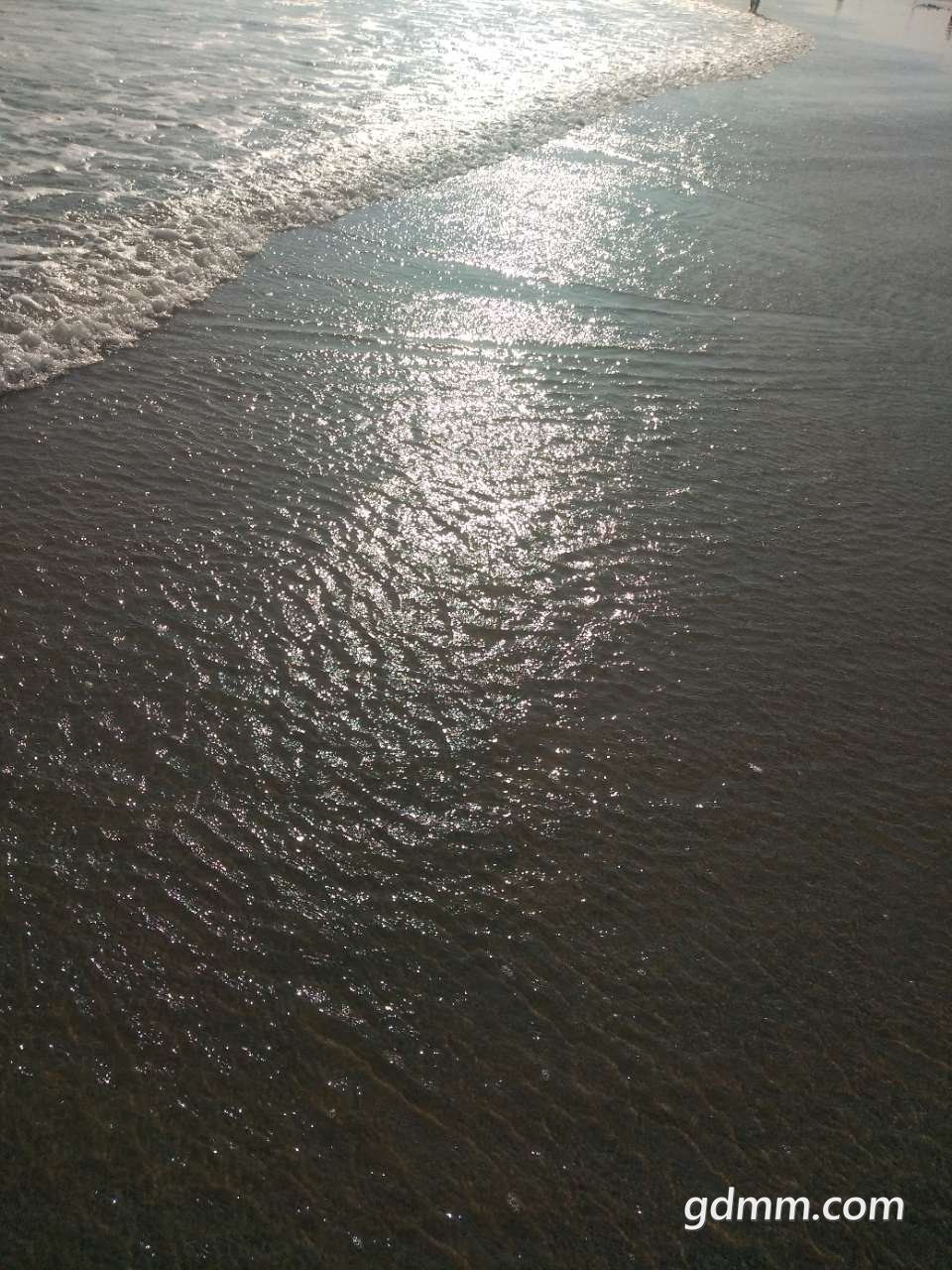 20191105_3245728_1572910457631.jpg