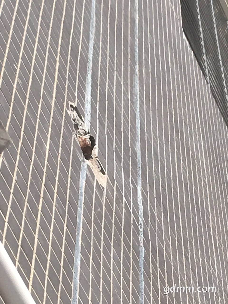 2019110632856211573037151234704.jpg