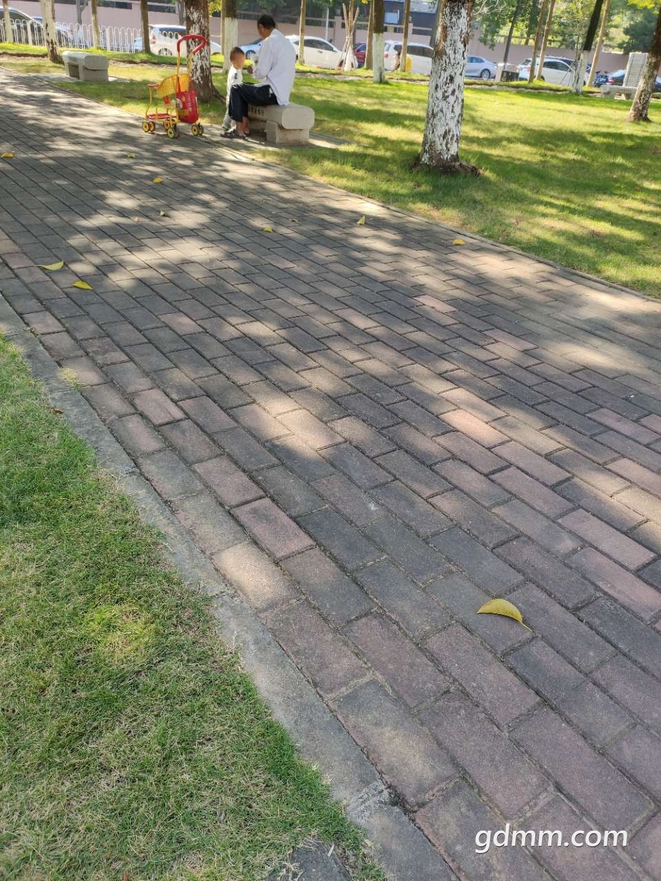 20191110_3292275_1573351981822.jpg