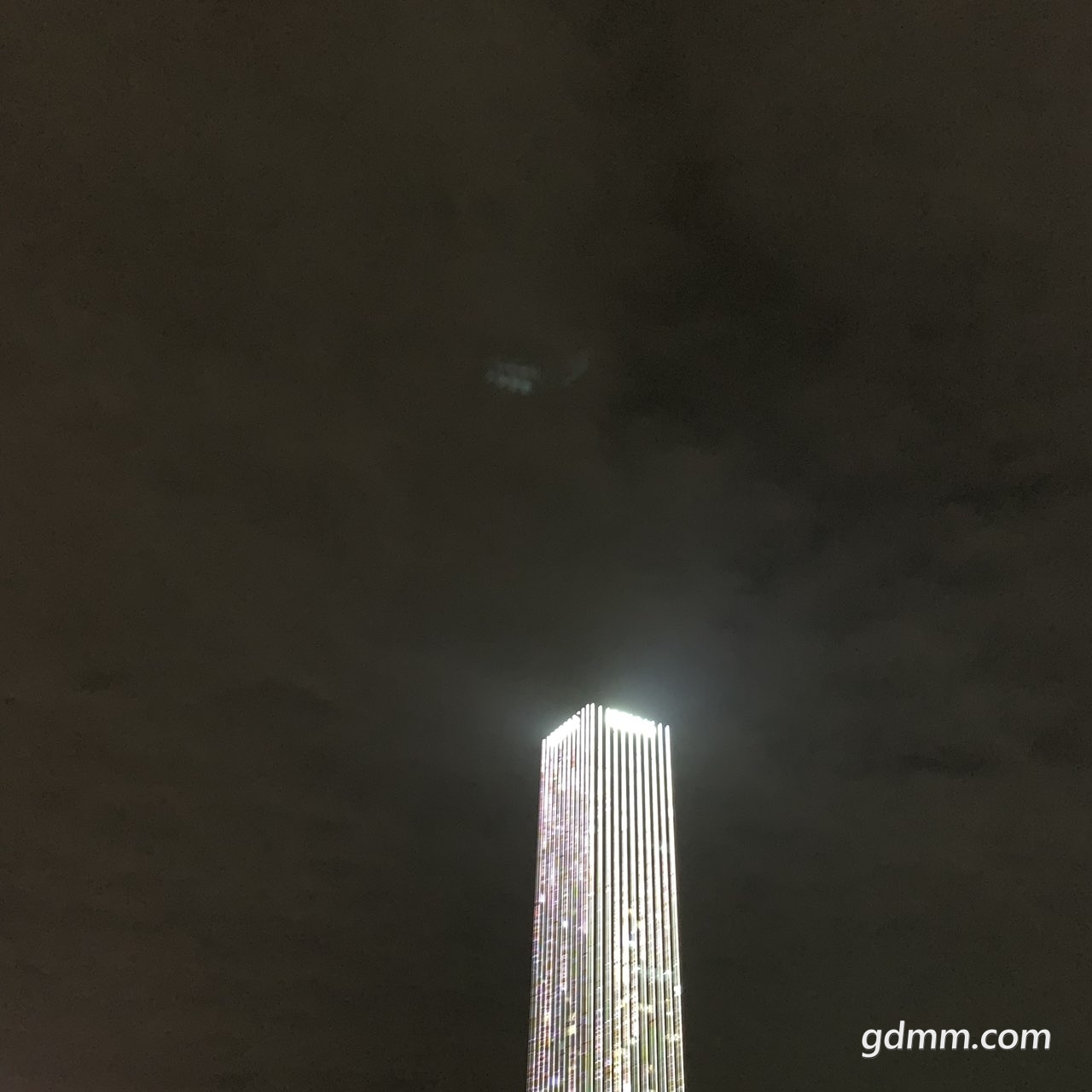 2019111132872891573484272271254.jpg