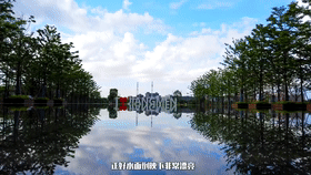20191112_3256765_1573534063485.gif