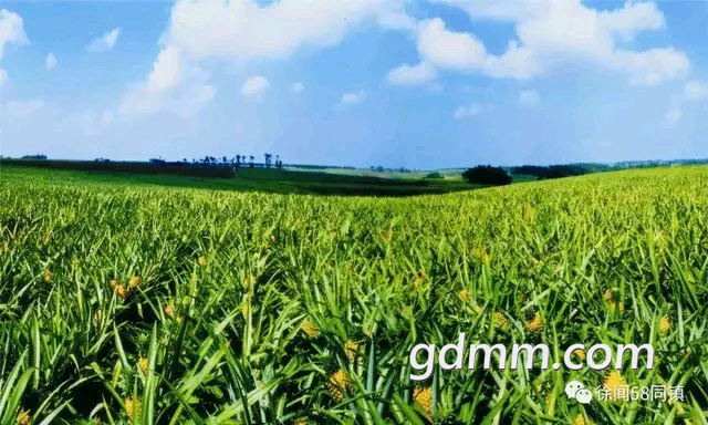 20191117_3276599_1573962945512.png