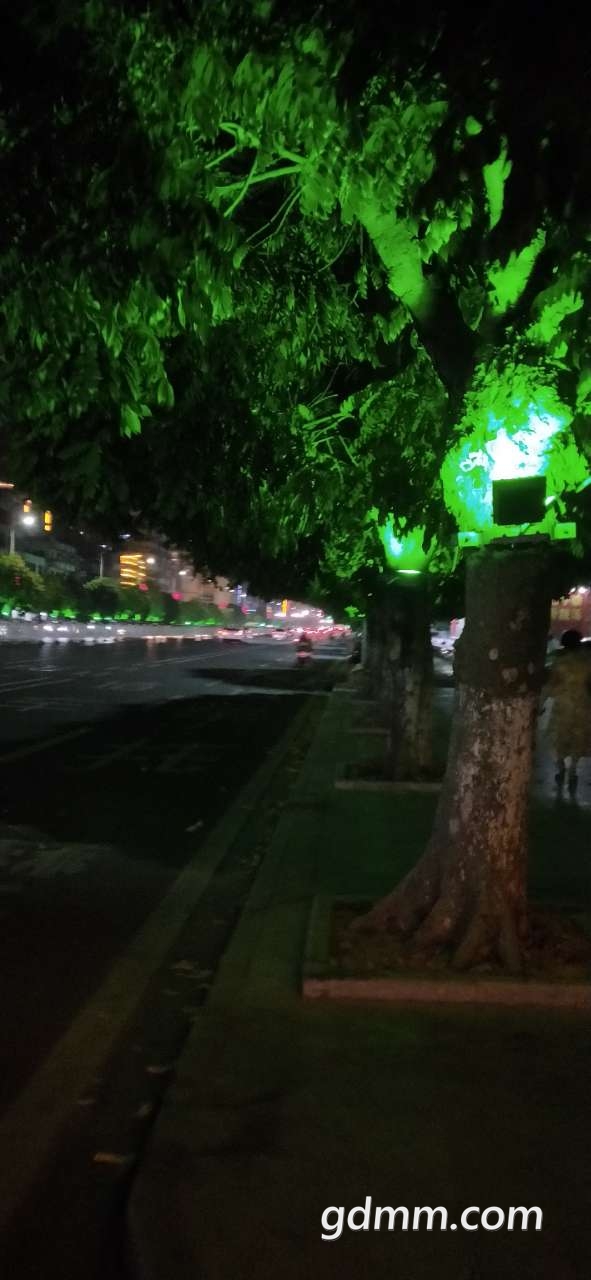 20191117_3295069_1574000356936.jpg