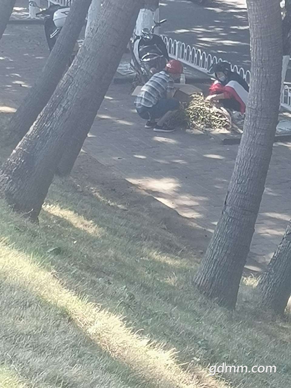 20191118_3262460_1574037786434.jpg