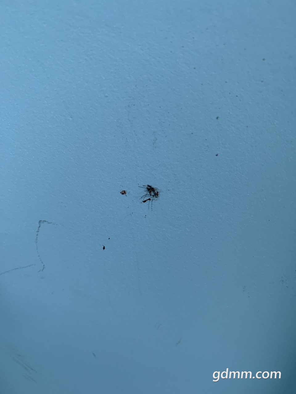 2019112432719651574565444925671.jpg