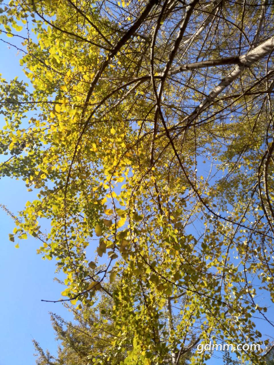 20191126_3256765_1574736271840.jpg