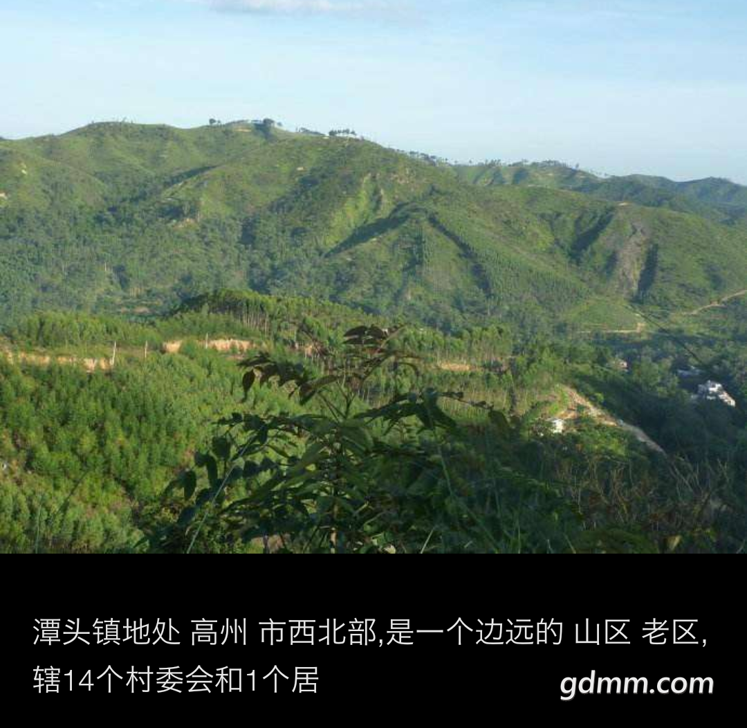 20191203_3292903_1575388038158.png