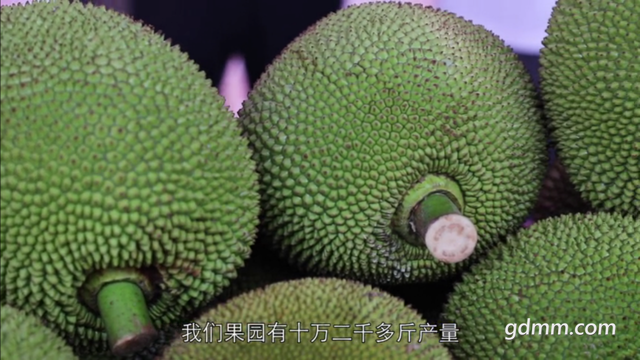 20191204_3269193_1575458924598.png