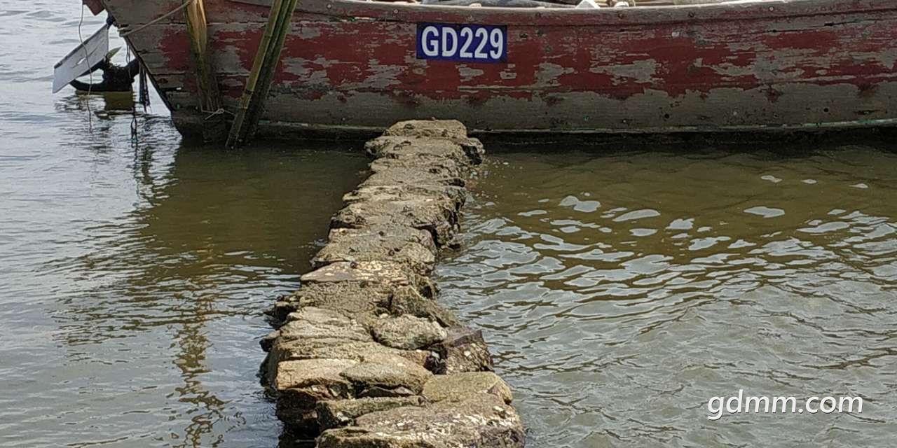 20191207_3296827_1575728687532.jpg