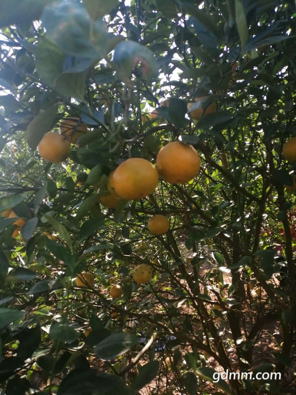 20191208_3278521_1575793360884.jpg