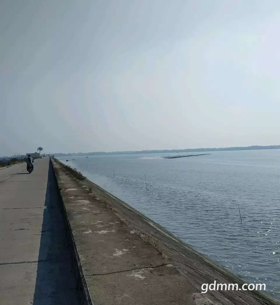 20191210_3295069_1575950496541.jpg