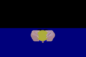 Ӿ.gif