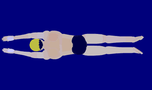 Ӿ3.gif