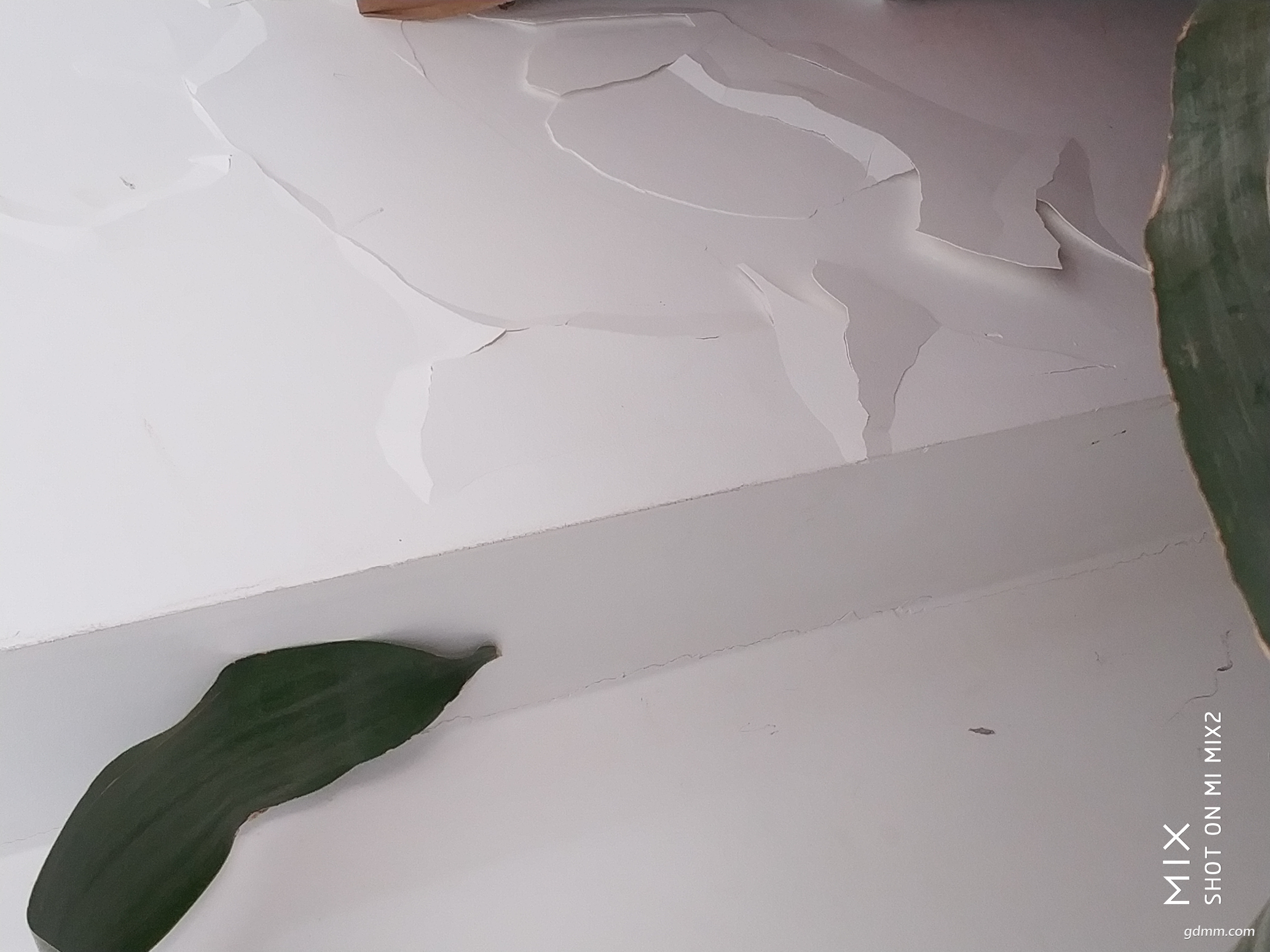 ΢ͼƬ_20191212101148.jpg