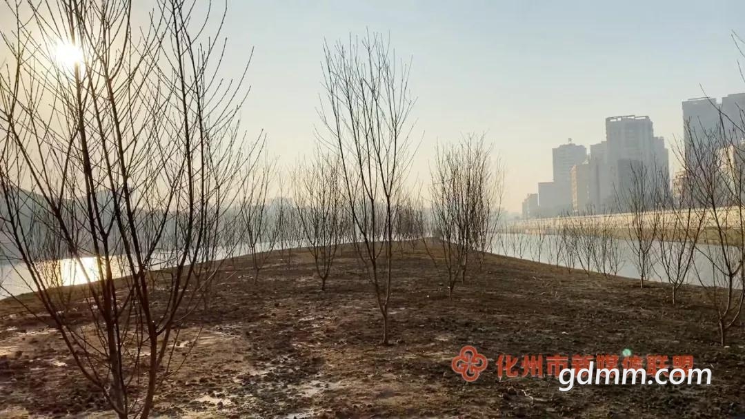 ΢ͼƬ_20191211231754.jpg