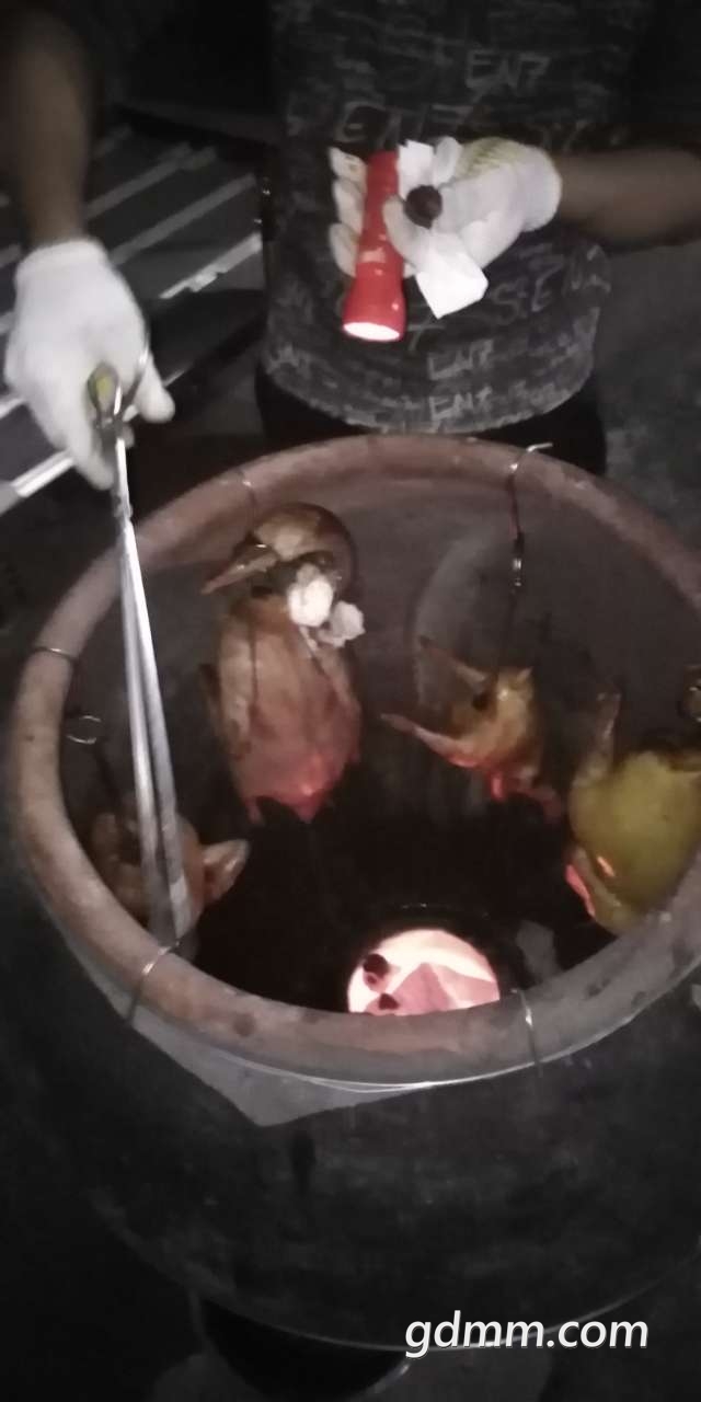 20191214_3281776_1576325523806.jpg