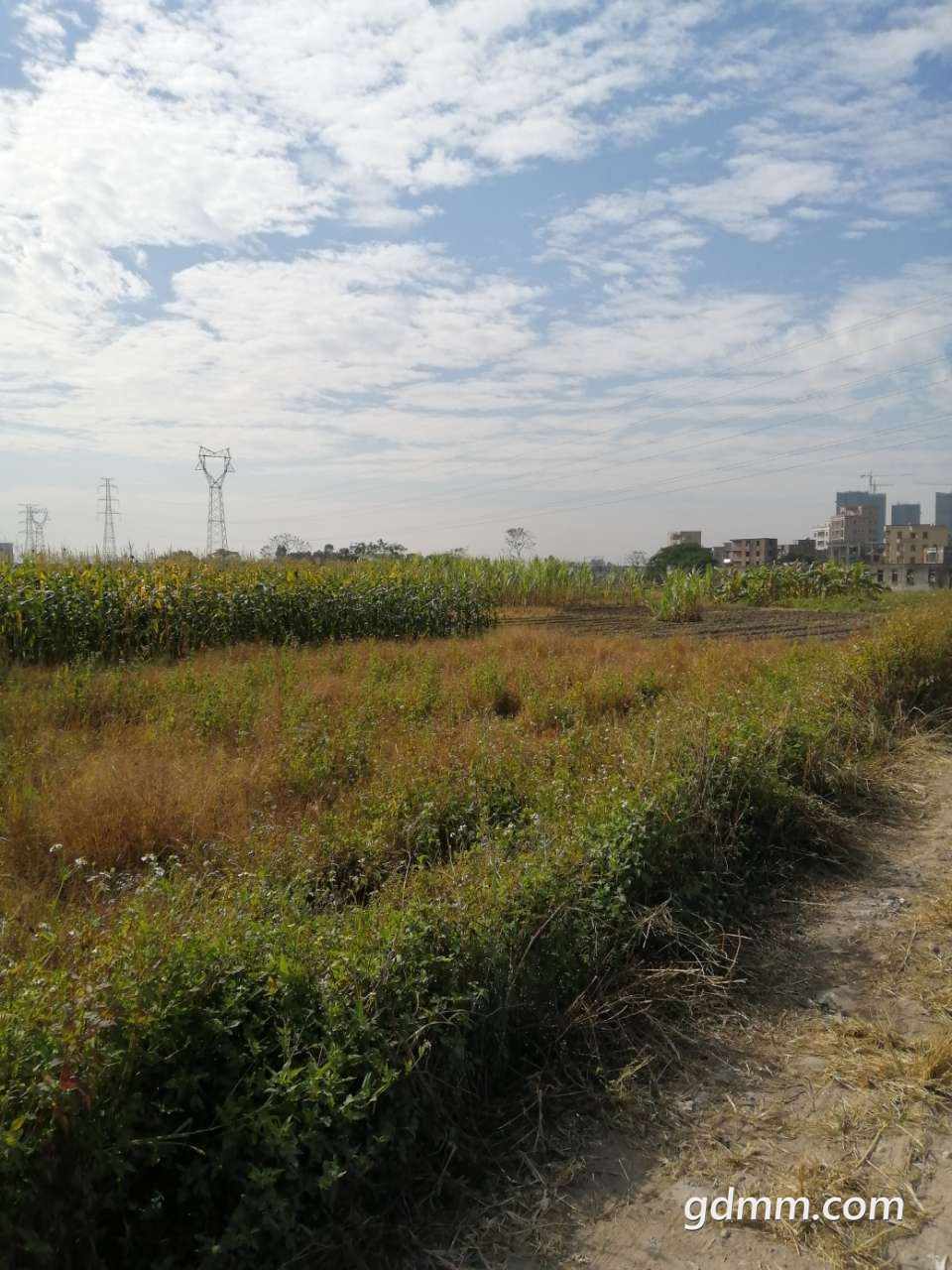 20191217_3275940_1576544770149.jpg