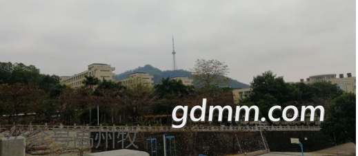 ΢Žͼ_20191217223438.png