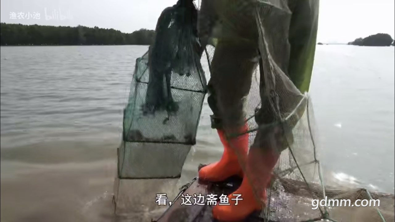2019121832664081576672030445841.jpg
