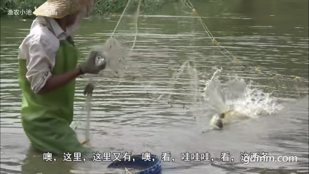 2019121832664081576672030647158.jpg