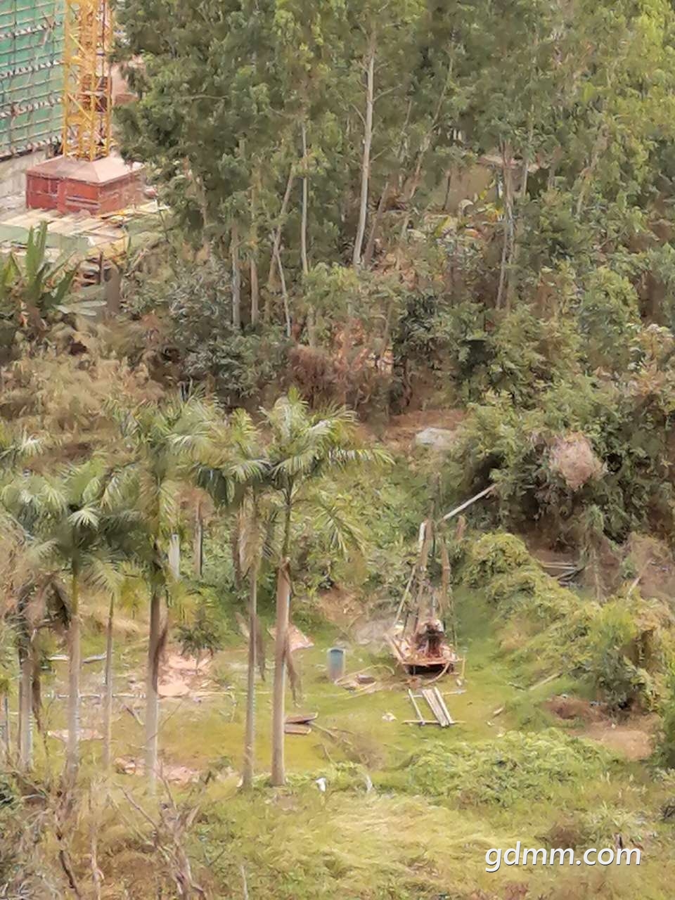 20191225_3283378_1577288118654.jpg