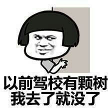 t0112e89e5b5481138d.jpg