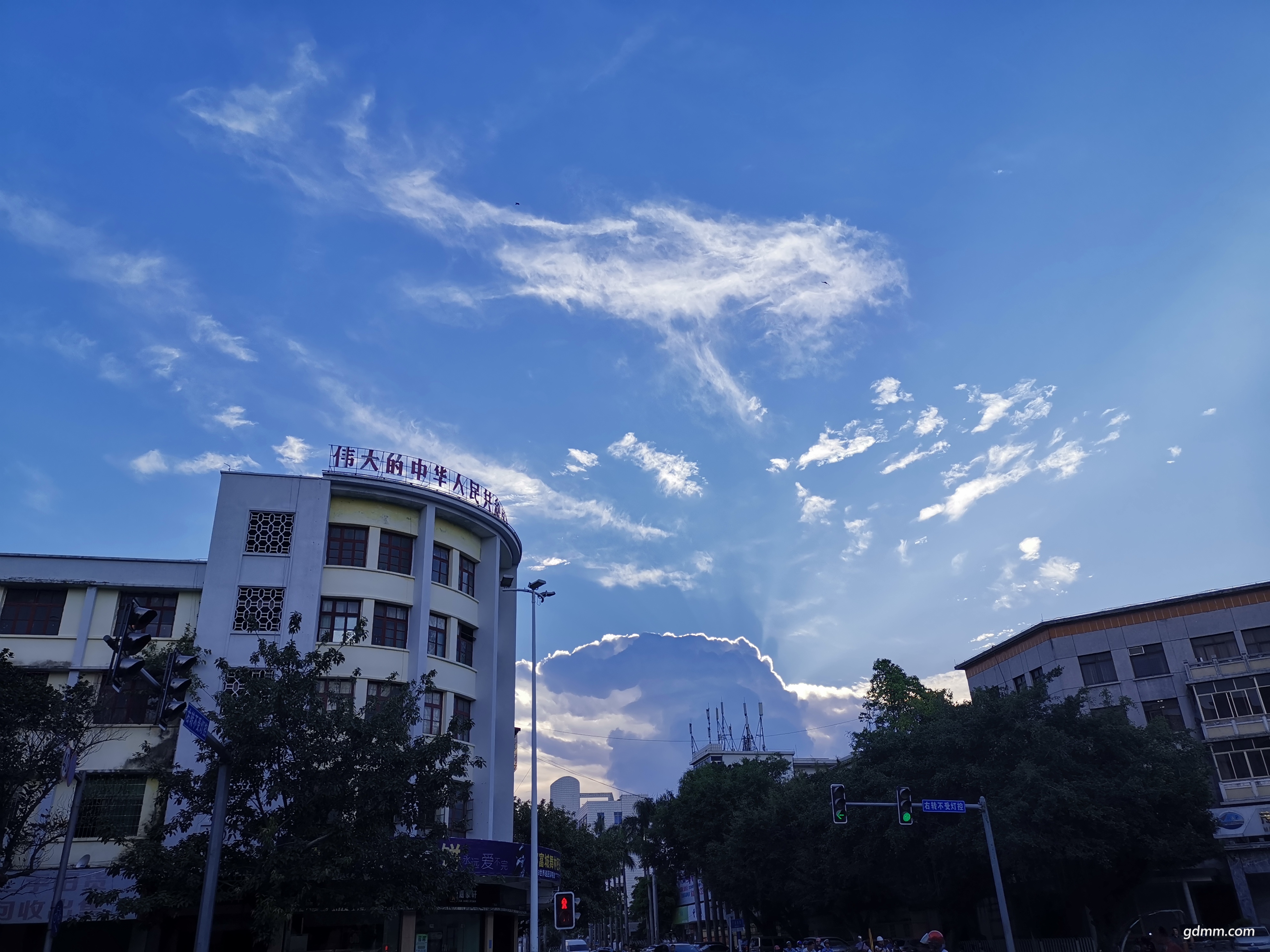 IMG_20190627_182427.jpg
